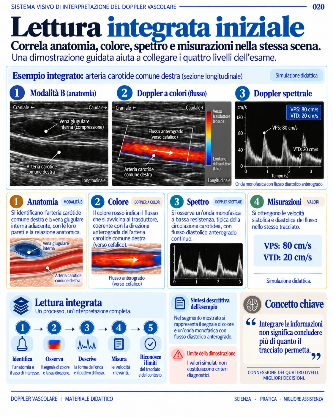 Lettura integrata iniziale: anatomia, modalità B, color Doppler, spettro e misurazioni